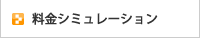 ���⥷�ߥ�졼�����