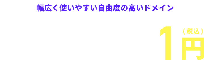 幅広く使いやすい自由度の高いドメイン「.xyz」1円!